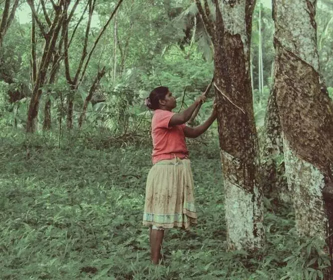 ペンション Plantation Villa