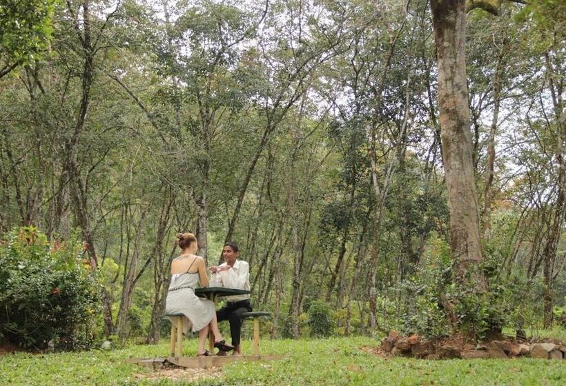 ペンション Plantation Villa