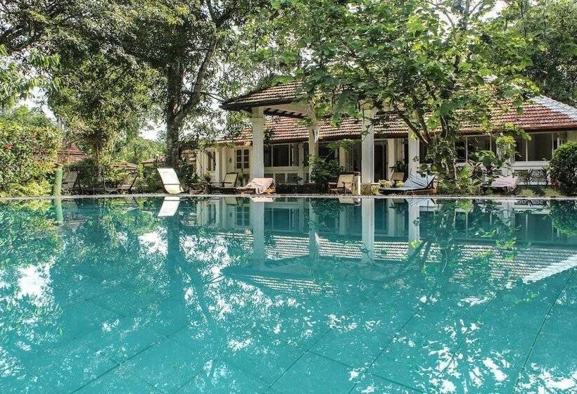 ペンション Plantation Villa