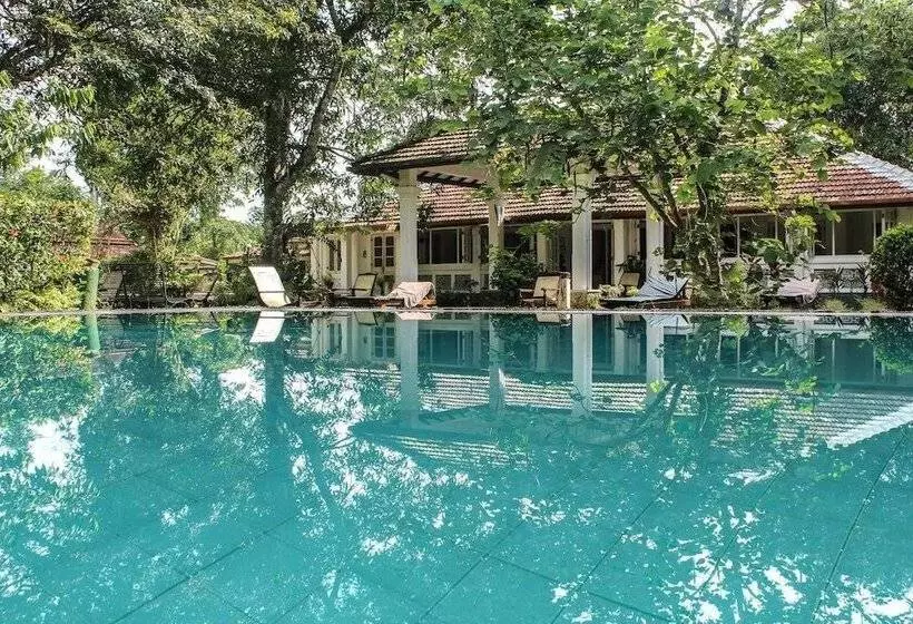 ペンション Plantation Villa