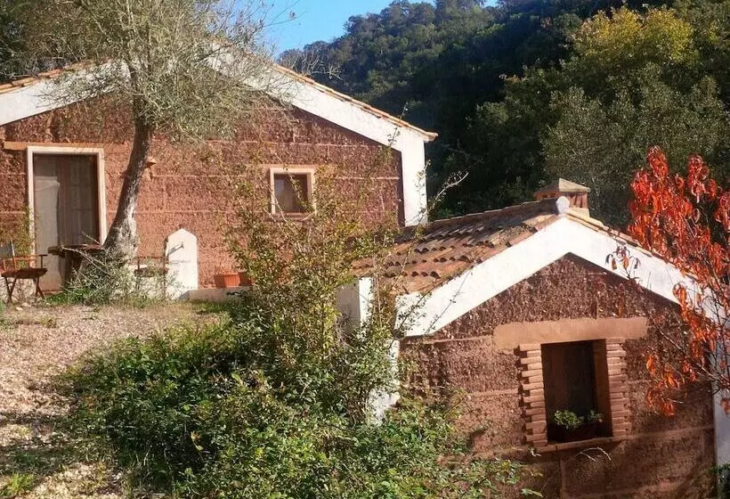 Quiet Cottage In Estate Casas Da Cerca Near Troviscais