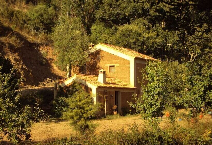 Quiet Cottage In Estate Casas Da Cerca Near Troviscais