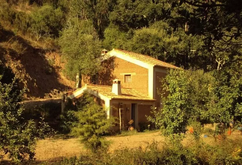 Quiet Cottage In Estate Casas Da Cerca Near Troviscais