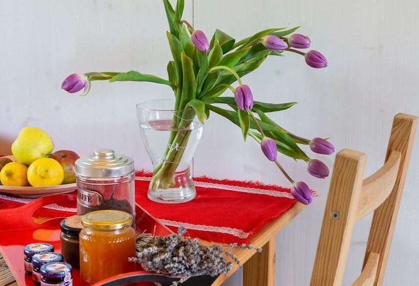 Captivating Cottage In San Ginesio With Swimming Pool