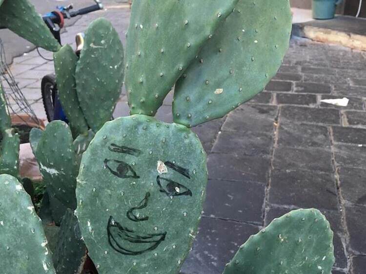 پانسیون Casa Verdi   House Of Travelers