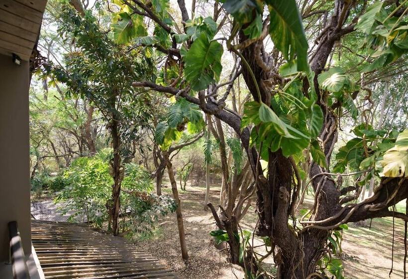 Pensionat Kruger Eden Lodge