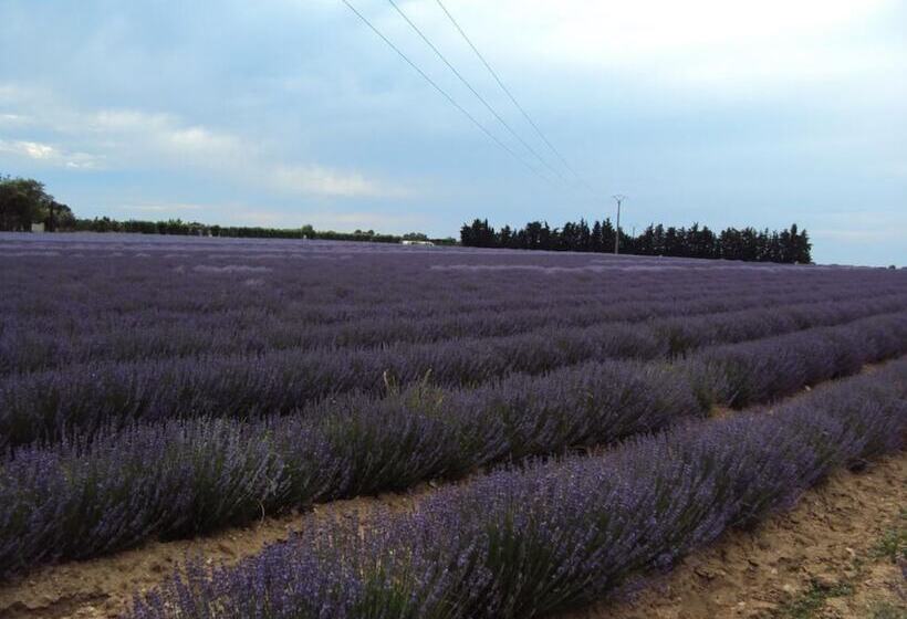 تختخواب و صبحانه La Douloire