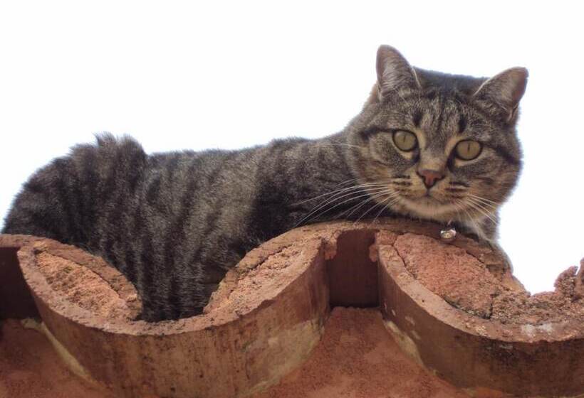 تختخواب و صبحانه La Douloire