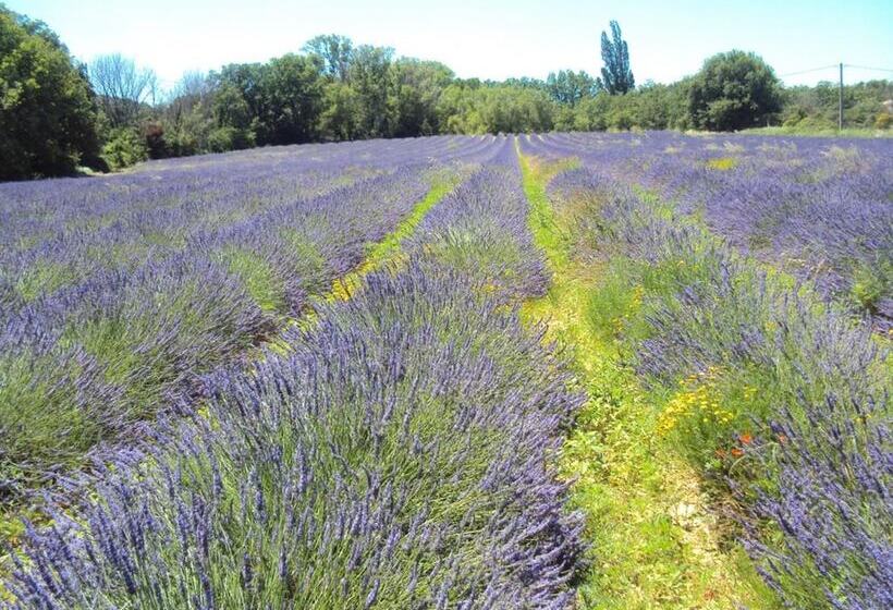 تختخواب و صبحانه La Douloire