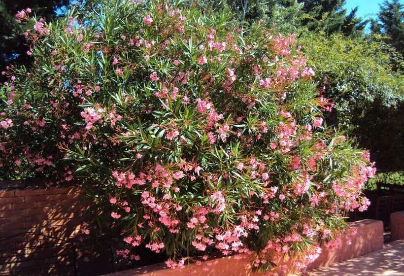 تختخواب و صبحانه La Douloire