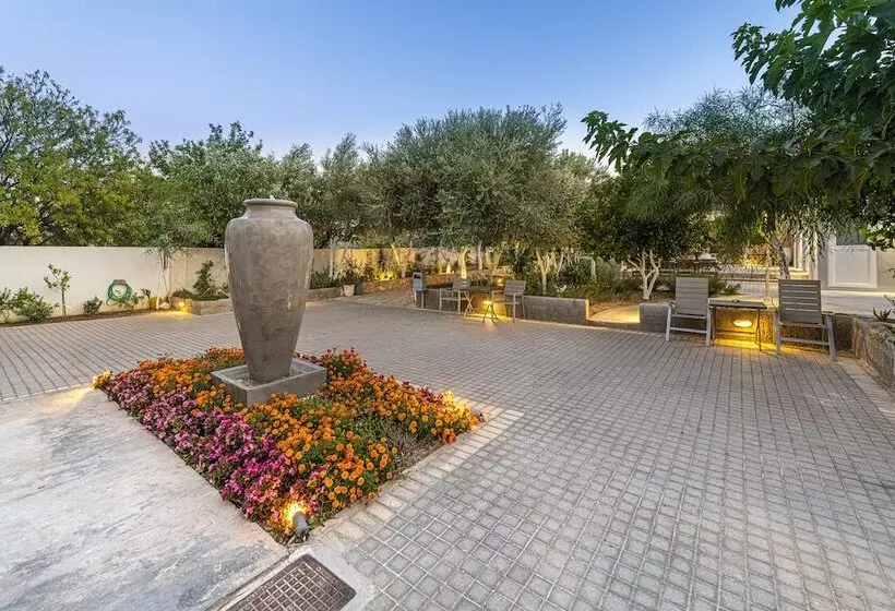 Comfort Stay Airport Studios   Free Shuttle From The Athens Airport