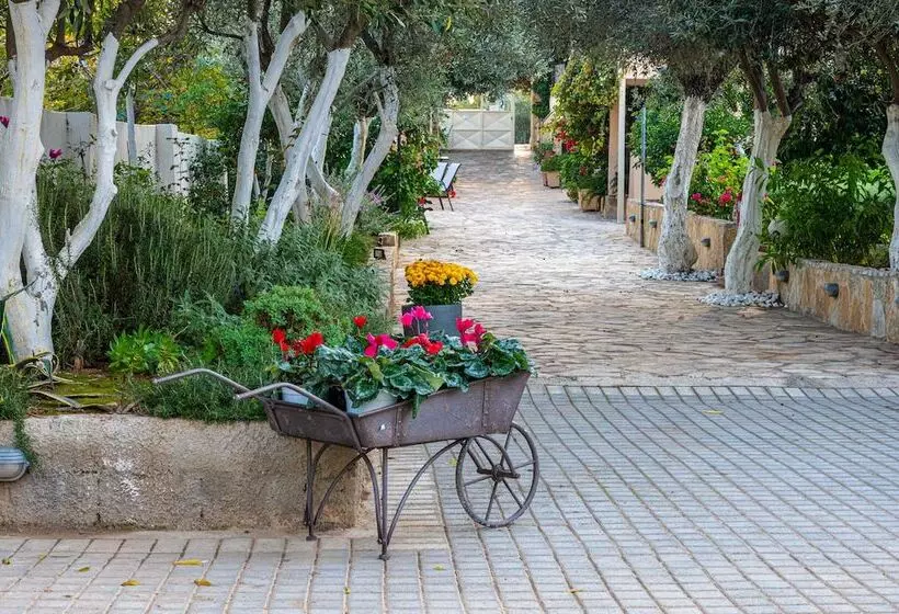 Comfort Stay Airport Studios   Free Shuttle From The Athens Airport