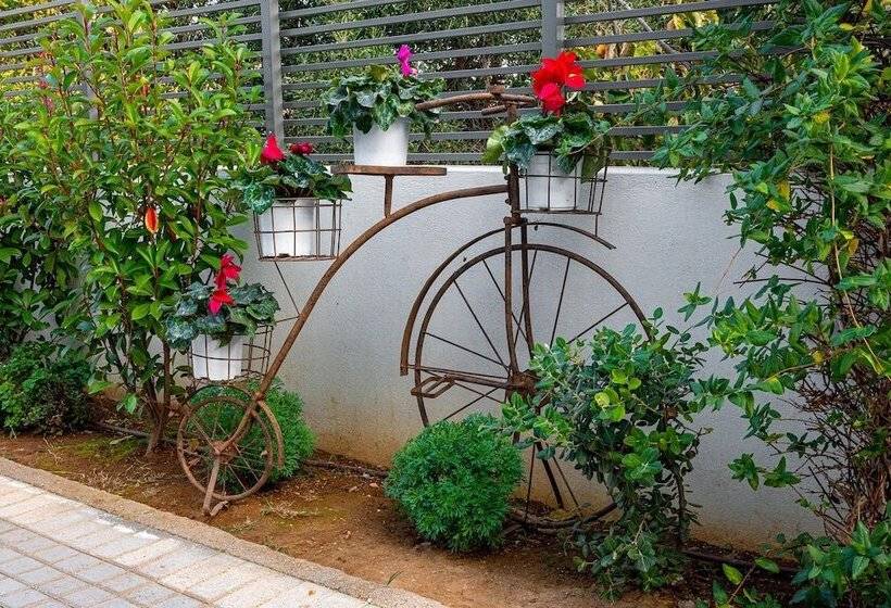 Comfort Stay Airport Studios   Free Shuttle From The Athens Airport