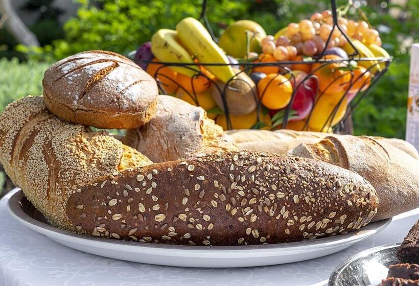 Comfort Stay Airport Studios   Free Shuttle From The Athens Airport