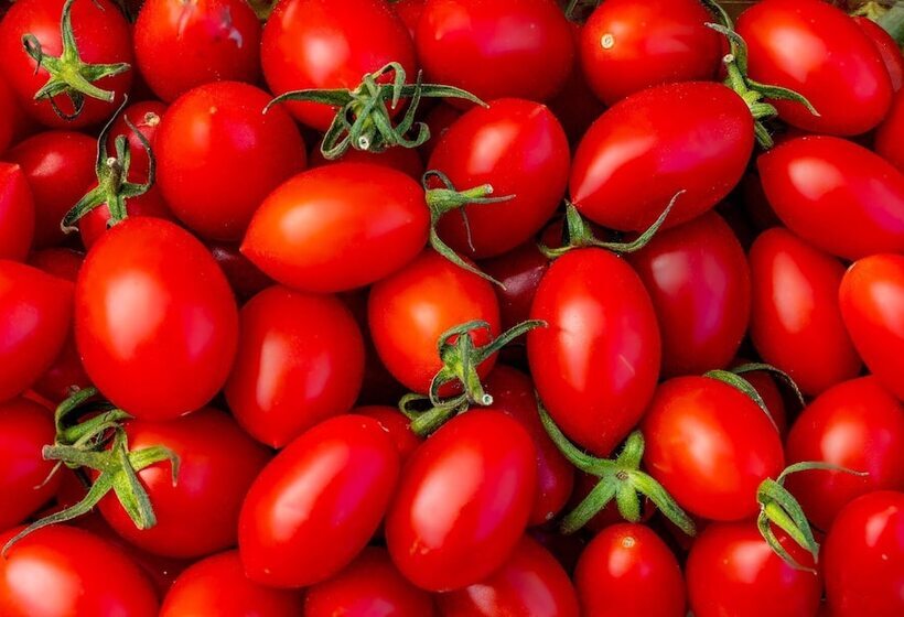 Comfort Stay Airport Studios   Free Shuttle From The Athens Airport