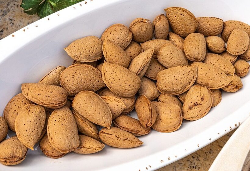 Comfort Stay Airport Studios   Free Shuttle From The Athens Airport