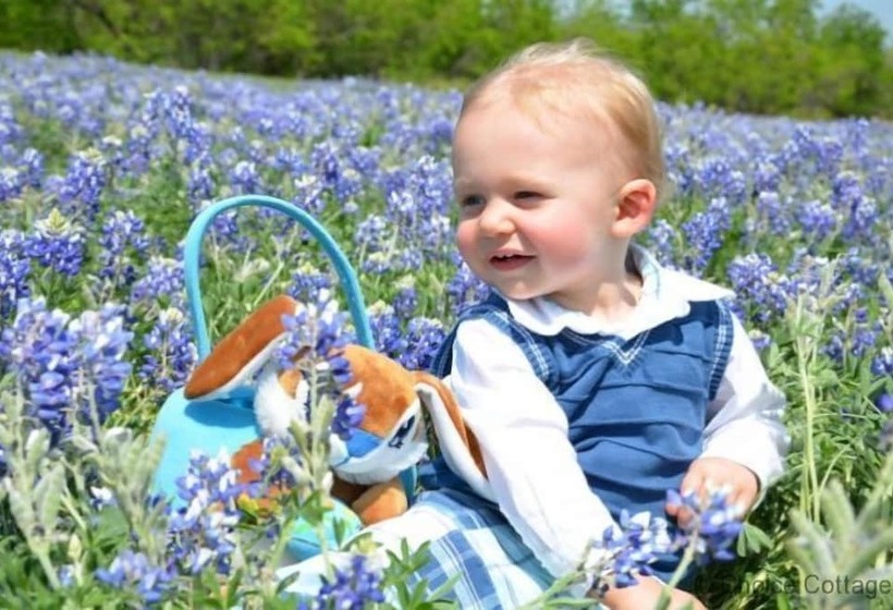 Croyde Moorlea 2 Bedrooms