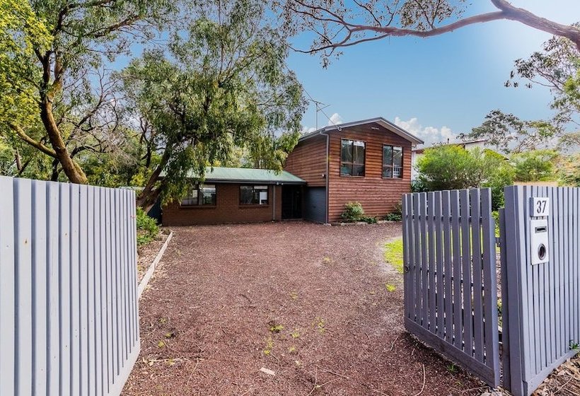 Florida Trees Free Wifi Surf Side