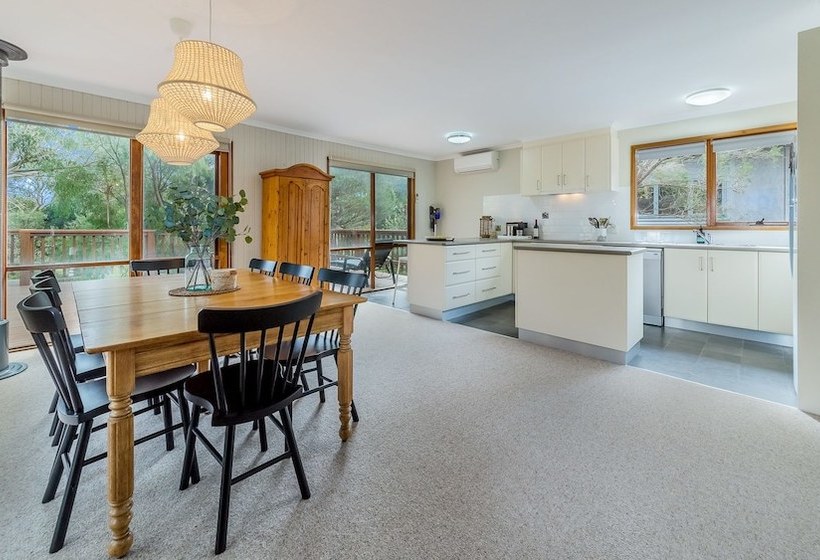 Florida Trees Free Wifi Surf Side