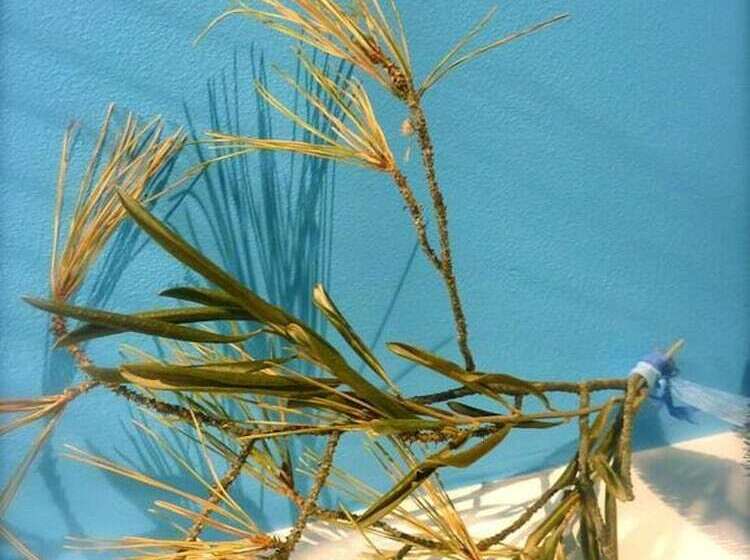 膳宿费 La Maison Narbonnaise