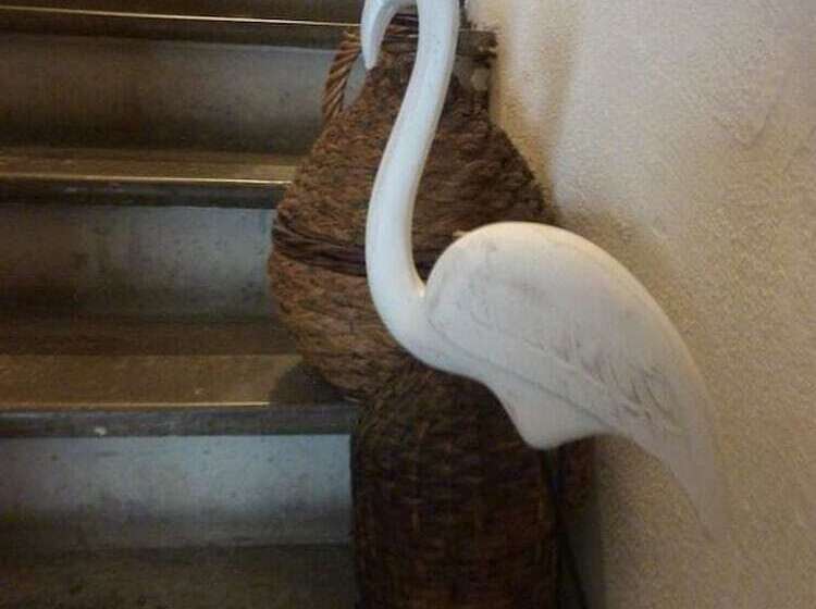 膳宿费 La Maison Narbonnaise