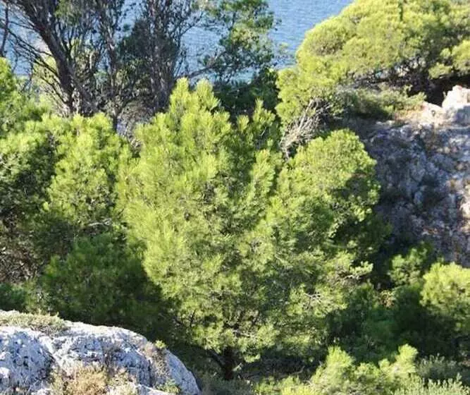 ペンション La Maison Narbonnaise