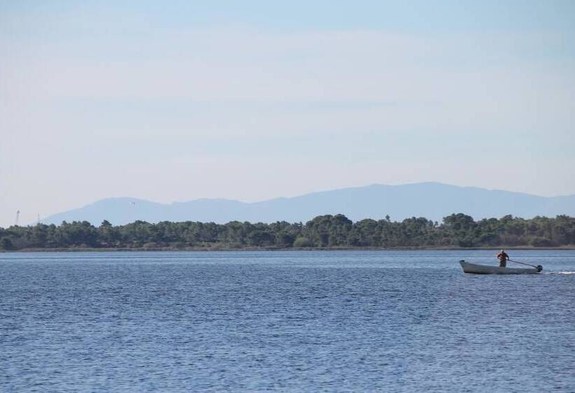 膳宿费 La Maison Narbonnaise