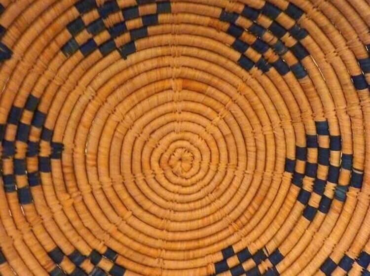 膳宿费 La Maison Narbonnaise