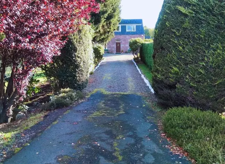 تختخواب و صبحانه The Laurels Guest House