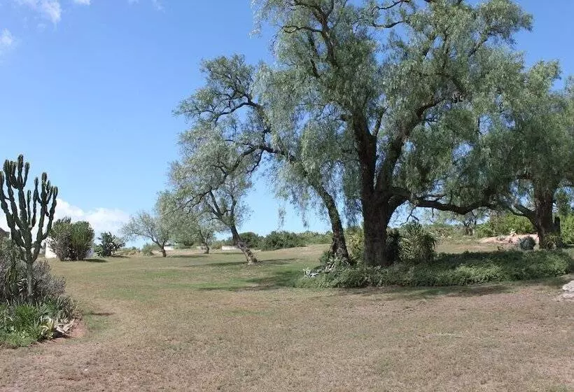 Hotelli Leeuwenbosch Shearers Lodge