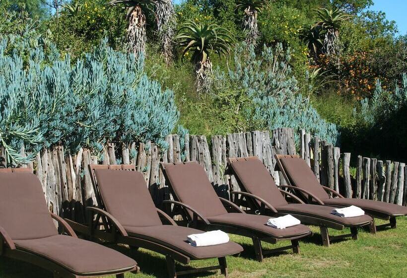 فندق Leeuwenbosch Shearers Lodge