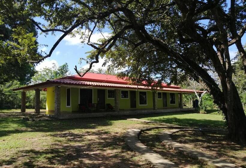 بنسيون La Casa De Thurys