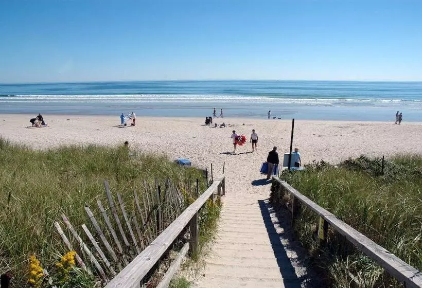 هاستل Grasshopper Inn