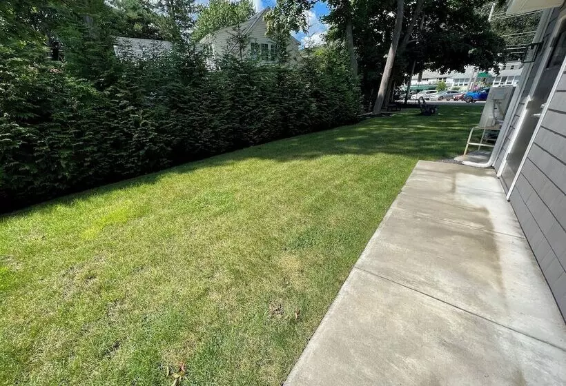 هاستل Grasshopper Inn