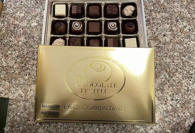 هاستل Grasshopper Inn