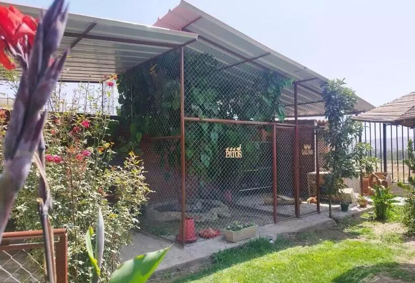 ベッドアンドブレックファースト Casa Huerta Stuber