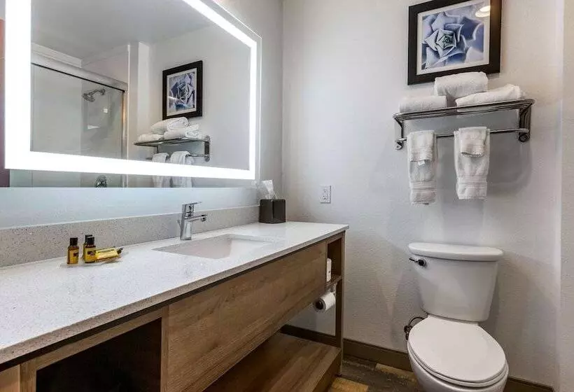 ホテル Best Western Plus Casa Grande Inn & Suites