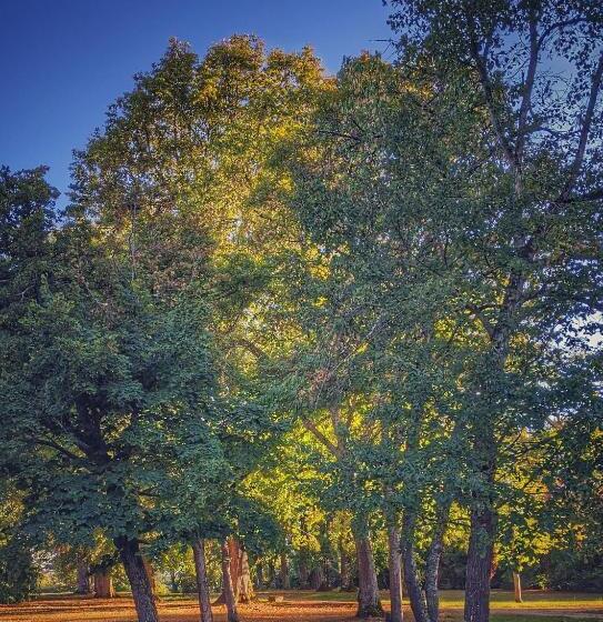 ペンション Château Des Fousseries