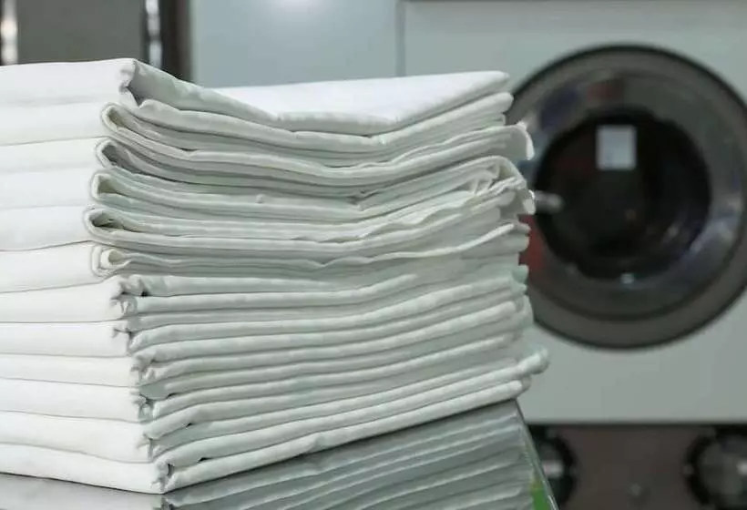 Magnuson Hotel Detroit Metro Airport