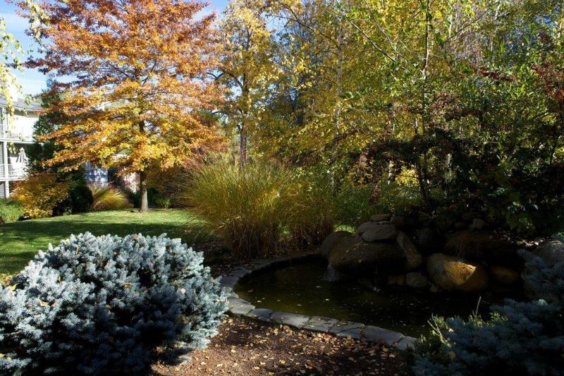 Otel Plaza Inn & Suites At Ashland Creek