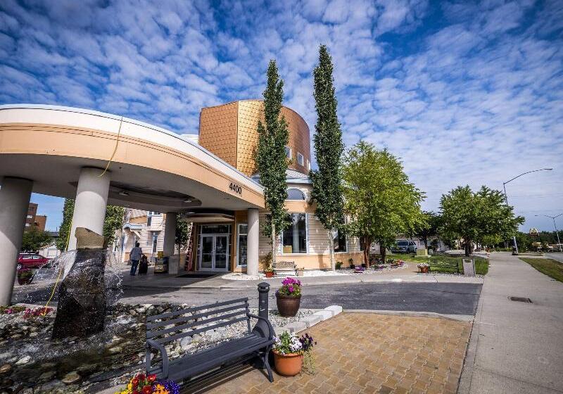 Szálloda Puffin Inn