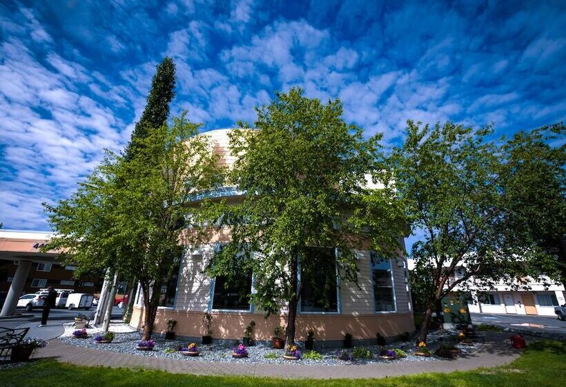 Szálloda Puffin Inn