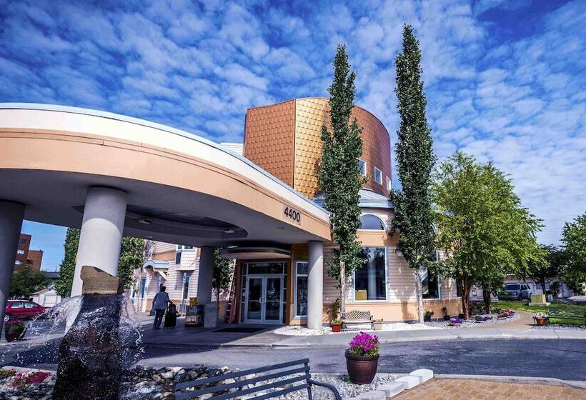 Szálloda Puffin Inn