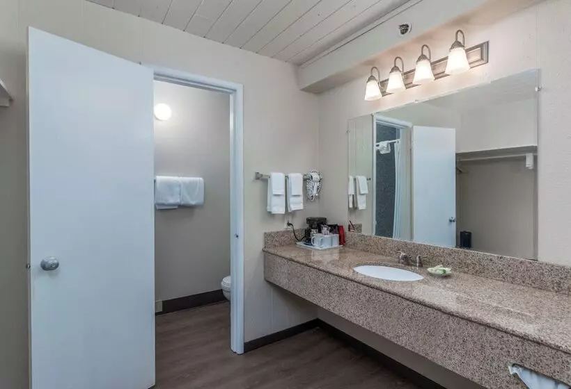 酒店 Seashore Inn On The Beach Seaside