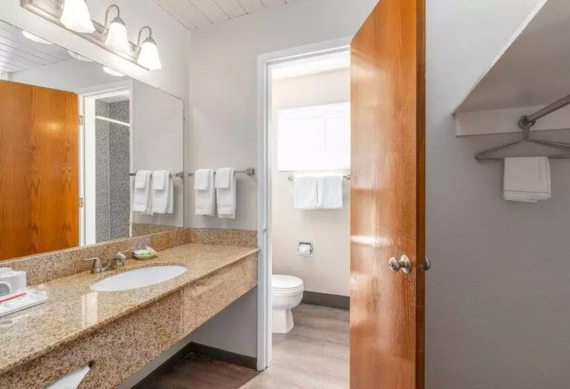 酒店 Seashore Inn On The Beach Seaside