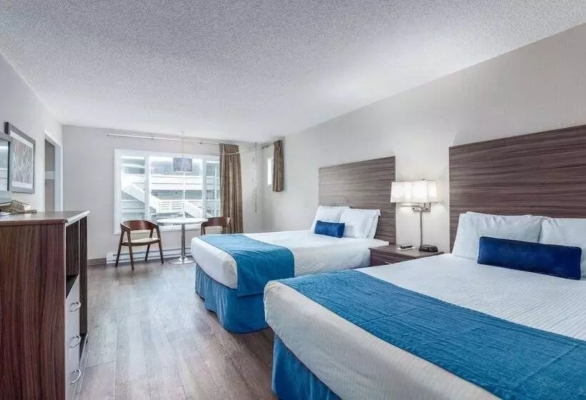 酒店 Seashore Inn On The Beach Seaside