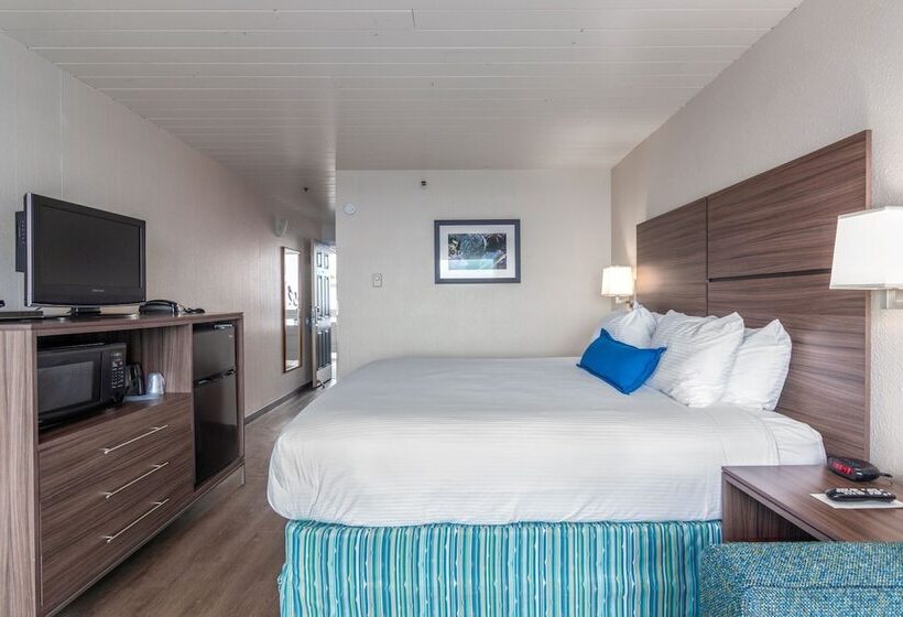 Otel Seashore Inn On The Beach Seaside