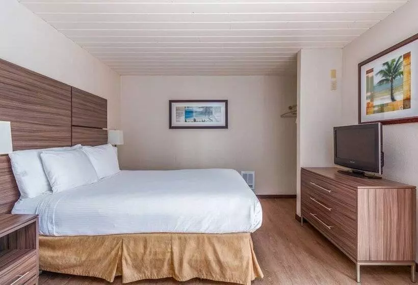 Отель Seashore Inn On The Beach Seaside