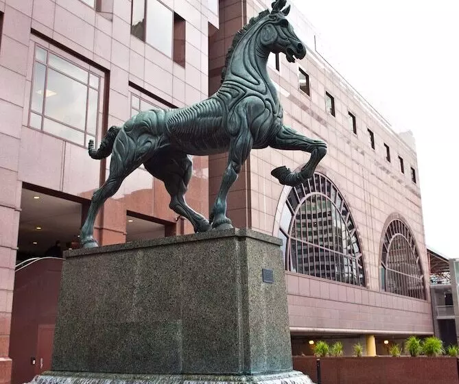 בית מלון כפרי The Buckingham