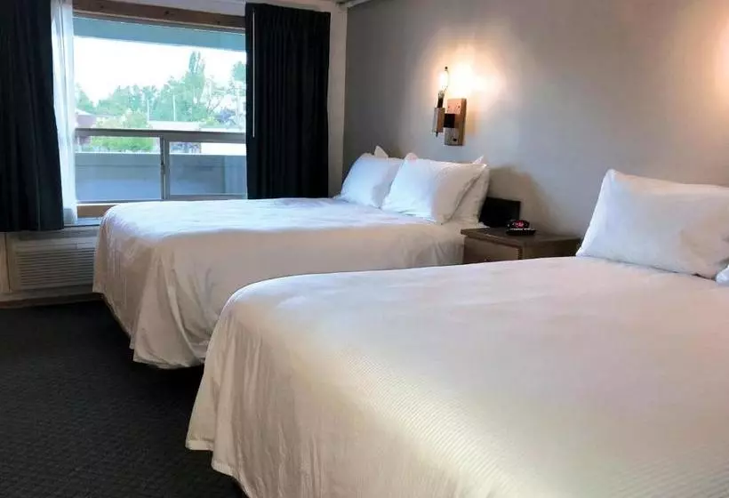 Мотель Downtowner Inn